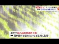 氷を抱いて作業する 佐賀で35 3度 猛暑で農家は不安や困惑の声 佐賀県 25 07 01 18 10 氷を抱いて作業する 佐賀で35 3度 猛暑で農家は不安や困惑の声 佐賀県 25 07 01 18 10