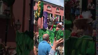 Catching beads Mardi Gras New Orleans