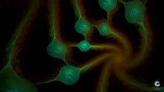 Famous Fractal Waves 1 - colorful fractals in slow motion and ambient spa music Profile