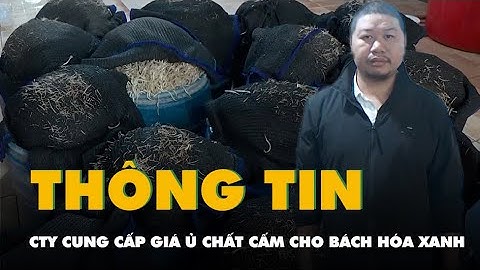 Thông tin thêm về công ty cung cấp giá ủ chất cấm cho Bách Hóa Xanh