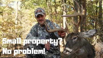 HOW TO KILL A BUCK ON 5 ACRES EVERY YEAR