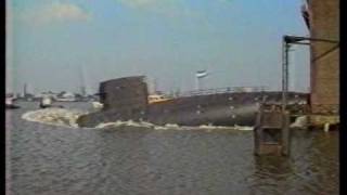 RDM te waterlating van de dolfijn deel 2