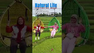 Relaxing in the Rice Field Atmosphere #nature #relaxing