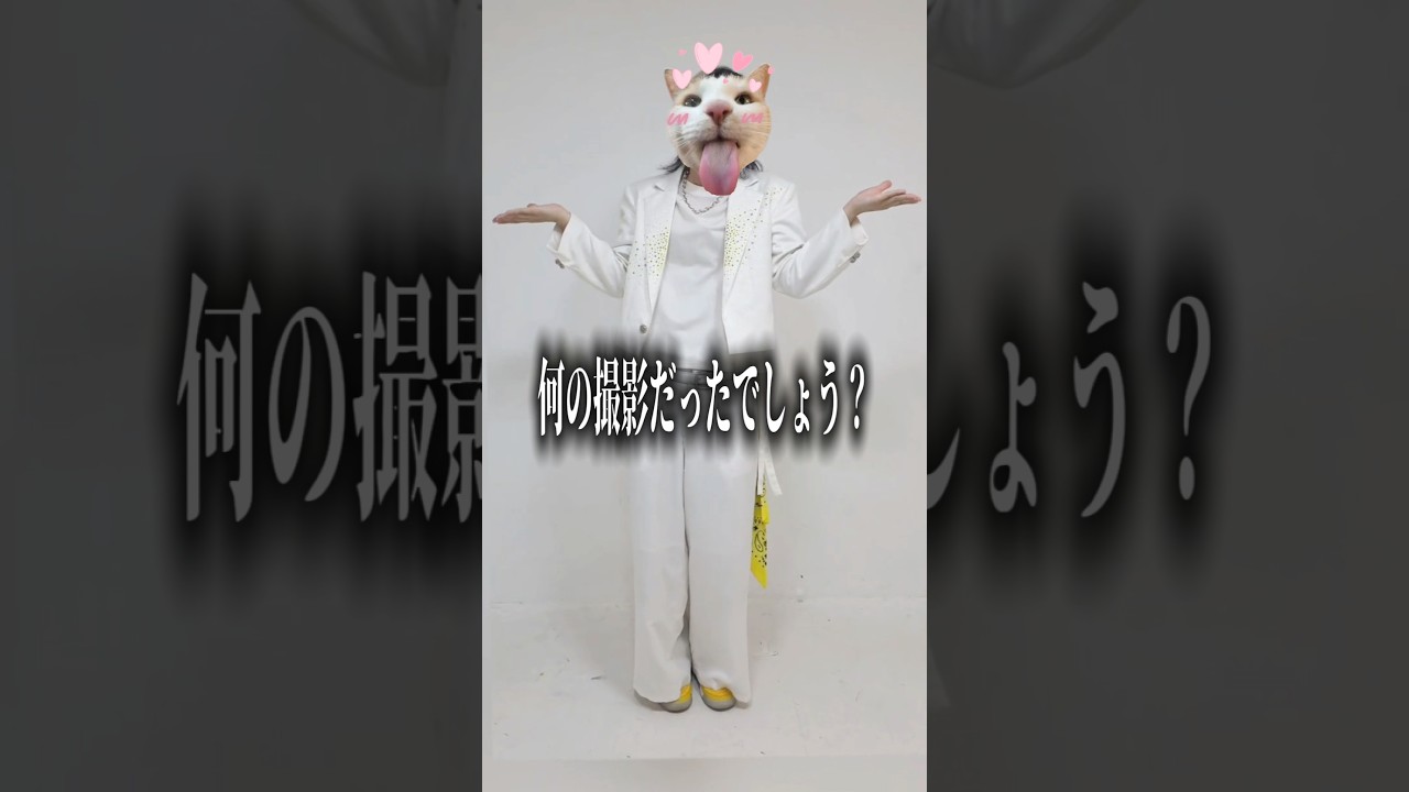 この好きすぎて滅！かわいくてすき！！ #すにすて #stpr #好きすぎて滅 #milk