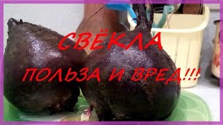 СВЁКЛА - ПОЛЬЗА и ВРЕД !!! СВЁКЛА - ПОЛЬЗА и ВРЕД !!!