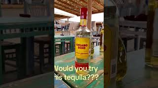 Tequila With Tequila Worm. Would You Try It?