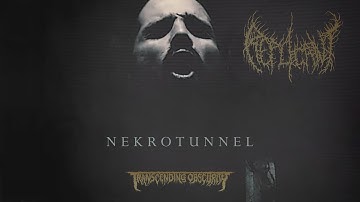 REPLICANT (US) - Nekrotunnel OFFICIAL VIDEO (Dissonant Death Metal) Transcending Obscurity