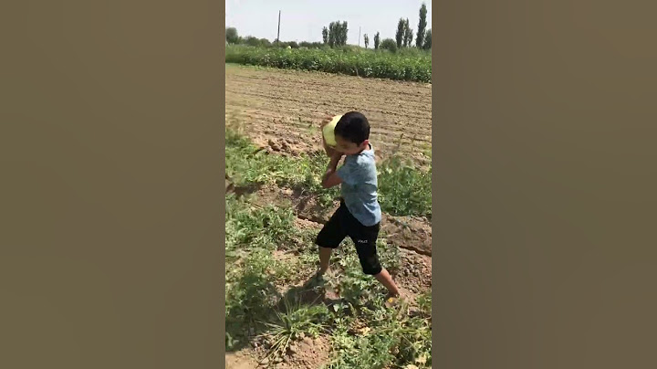 В этом мире не все можно украсть, но своровать арбуз может каждый. #кыргызстан#отдых #арбуз#вкусно