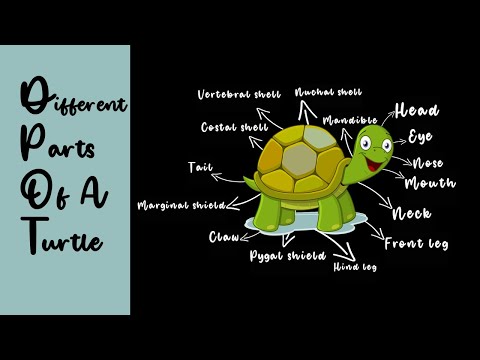 Parts of a