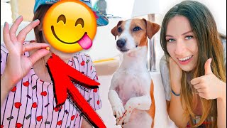 Мои гости ПЕРВЫЙ РАЗ ДРЕССИРУЮТ ДЖИНУ Яхта Элли Ди | Elli Di Pets