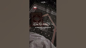 ( وَلا تَدْعُ مِنْ دُونِ اللَّهِ مَا لا يَنْفَعُكَ) سورة يونس الاية 106