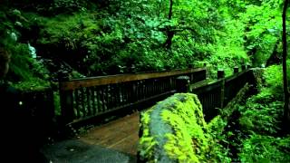 Expedia Find Yours NFFTY Contest: Find Your Way