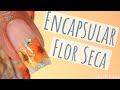 Como Fazer Unha Encapsulada Com Flor Seca (FÁCIL E PRÁTICA)