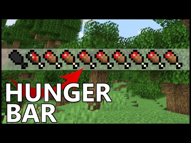 How Does Hunger Work In Minecraft - Youtube