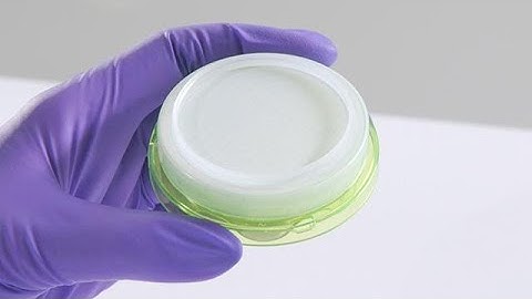 How to reduce the risk of cross-contamination in bioburden testing