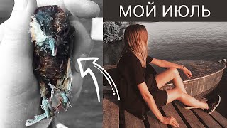 картинка: Спасли птицу. Сгоняли на Марс Уральский и в Отпуск (vlog 12)