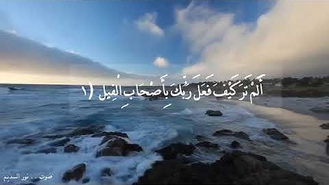 سورة الفيل بصوت جميل