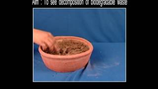 Science Experiments  - To See Decompostion Of Biodegradable Waste