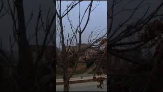 Яккабог Посёлка, Янги Очилган, Дахшат, Удар.