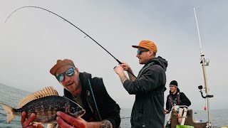 FISH FRENZY | BREAM FISHING | CATCH & COOK