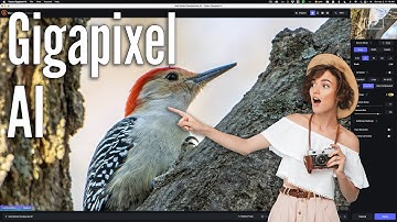 The BEST Way to Use GIGAPIXEL AI as a STANDALONE APP