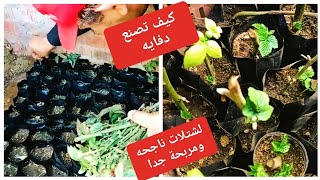 تحقيق ربح خيالي من زراعة الأسطح ممكن بكل سهوله .هل جربت ذلك ؟