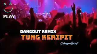 DANGDUT REMIX - TUNG KERIPIT || LAGU ACARA TERBARU 2024