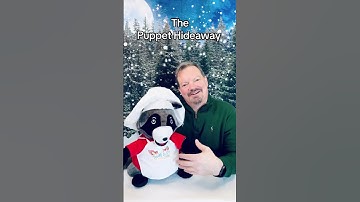 Puppet of the Day – Racoon Chef made by Abingdon Press - The Puppet Hideaway with Eric Thomsen