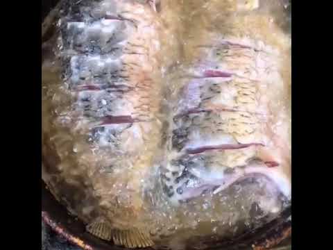 قوزي وسمك مقلي