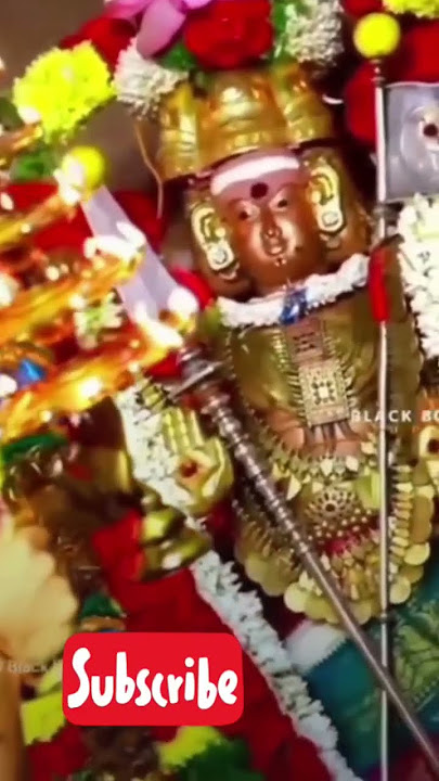 என்கவலைகளை தீர்க்கும் முருகா #song #love #tamil #kolusu #lovesong #god #muruga #tak #viral #devotion