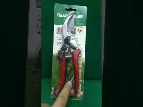 مقص عقله تيواني سعر المقص ب ٢٢٠ جنيه