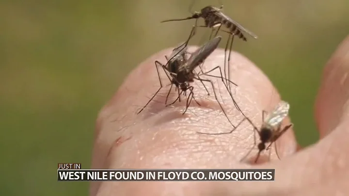 West Nile Virus found in Floyd County, Indiana