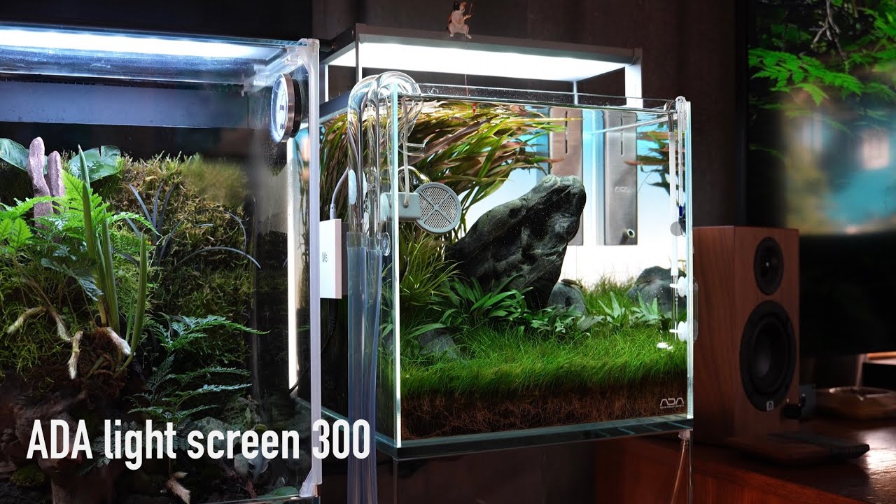 ADA LIGHT SCREEN – Aqua Forest Aquarium