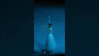 Анжелина Воронцова #russia #ballet #giselle #saintpetersburg #жизель #малегот