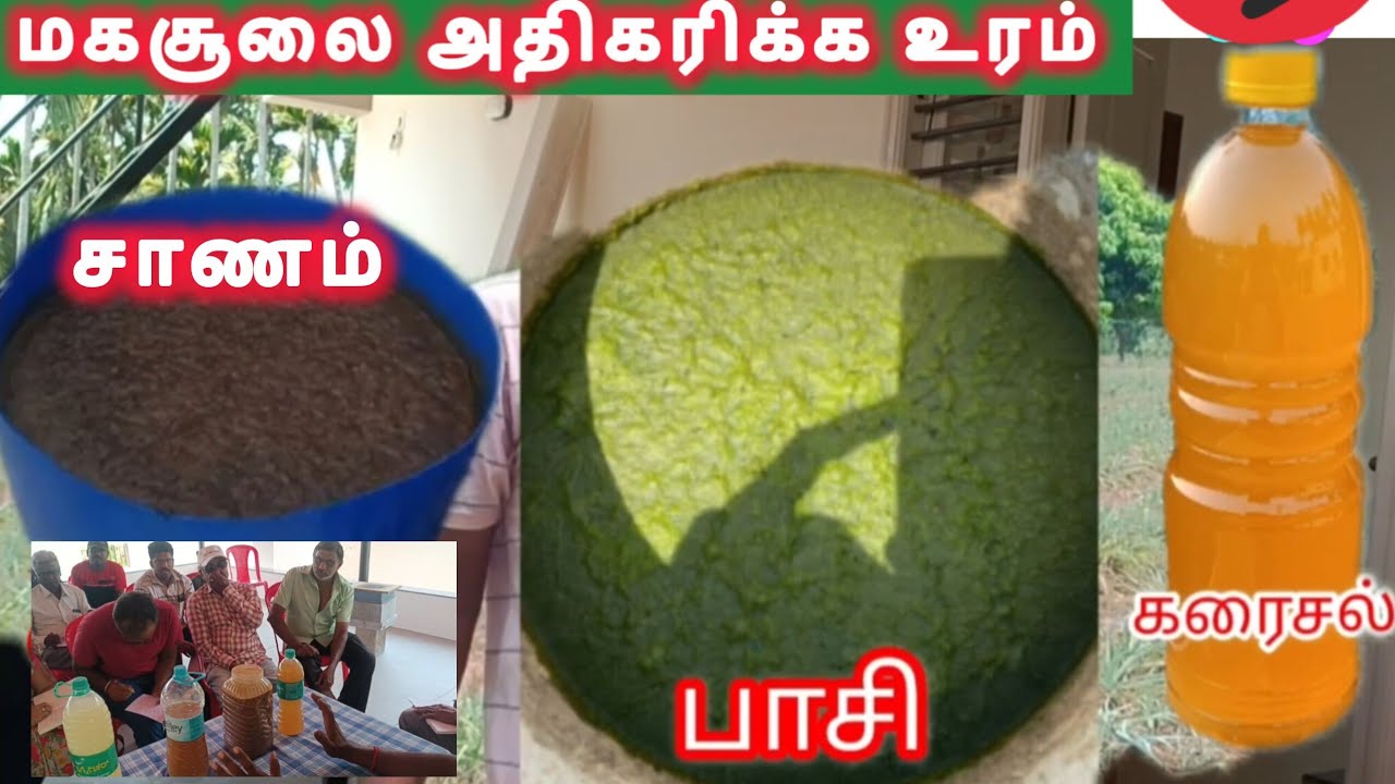 💪கர்நாடகா மாநிலத்தில் விவசாயிகளுக்கு 9787155461இயற்கை விவசாய பயிற்சி சான பாசி 