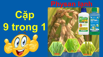 Physan lạnh _ cặp 9 trong 1 cách quản lý vi khuẩn hiệu quả trên cây trồng Lua vang | thuốc trừ bệnh