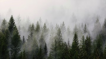 Listening To Your Inner World Meditation With Parts Work / IFS Internal Family Systems Therapy