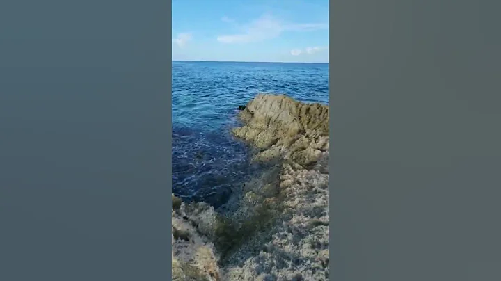 September 19, 2022 #shorts #travel #mexico #xcaret