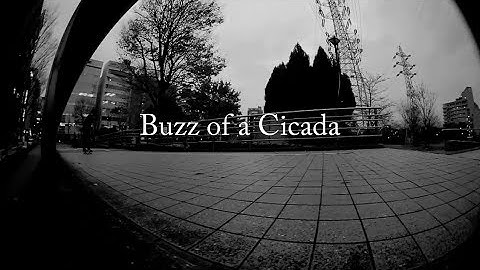 #03【Piece of Burden】Buzz of a Cicada - BURDEN 2017