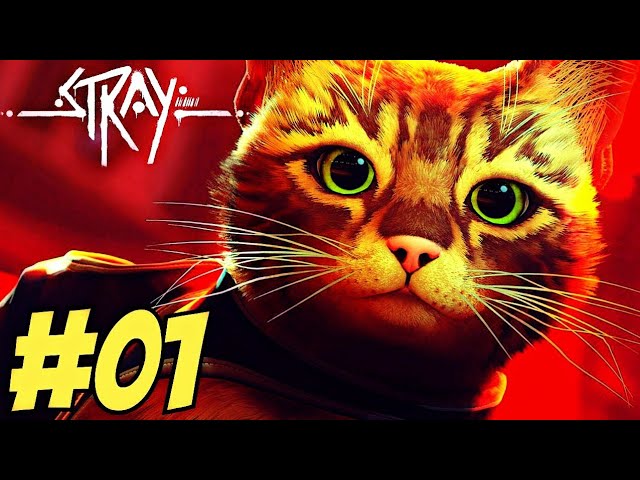 STRAY - O INÍCIO DA AVENTURA!  O JOGO DO GATO NO PS4 