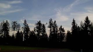 Eflite_Extra260_BigBat.AVI