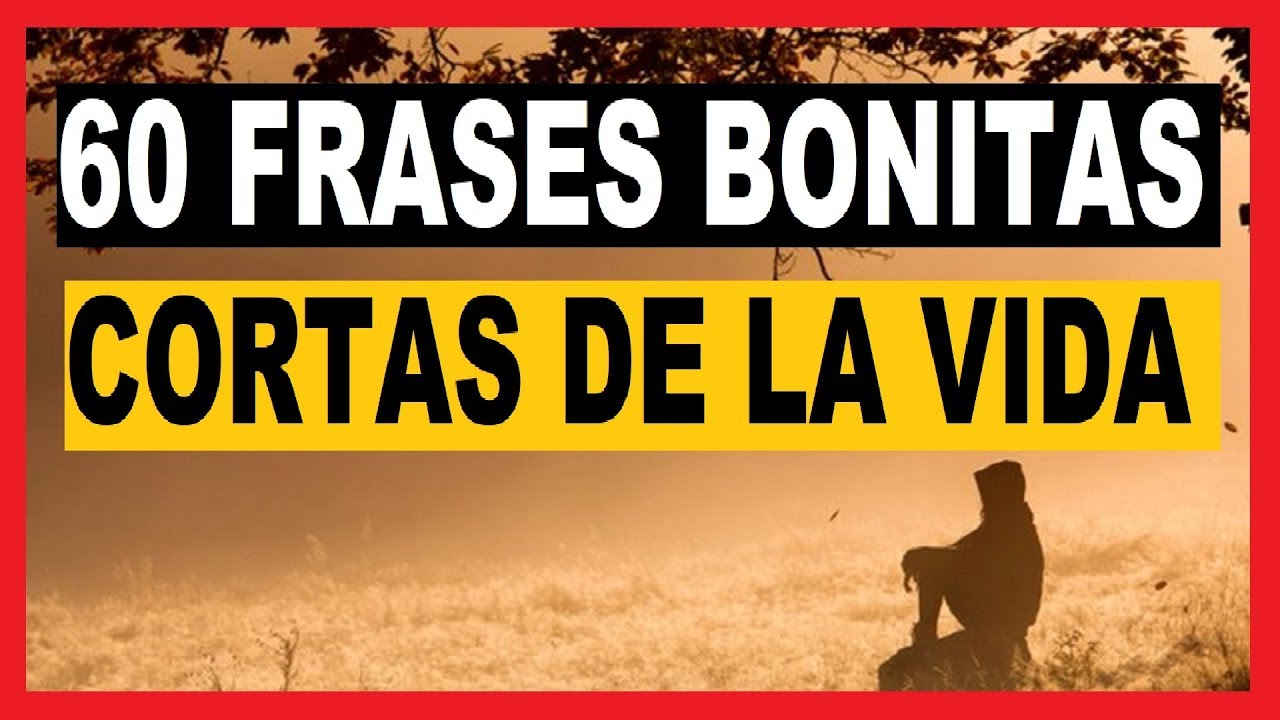 60 Frases Bonitas Cortas de la Vida Para Reflexionar y ...