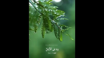 آية الكرسي | سورة البقرة | قرآن كريم | حالات واتس آب قصيرة
