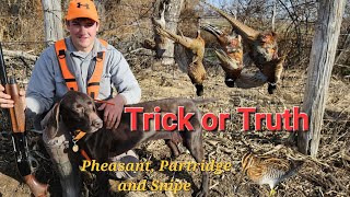 TPW: Trick or Truth?! Iowa Pheasant Partridge and Snipe. Season 2 episode 3