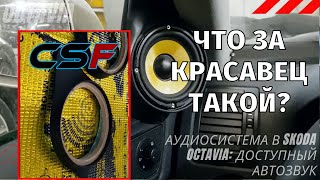 Что за красавец такой? Аудиосистема в машину Skoda Octavia: доступный автозвук. Музыка в машину 2022