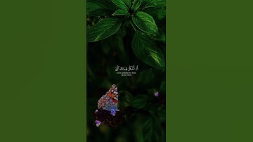 خلق الله| سورة النمل