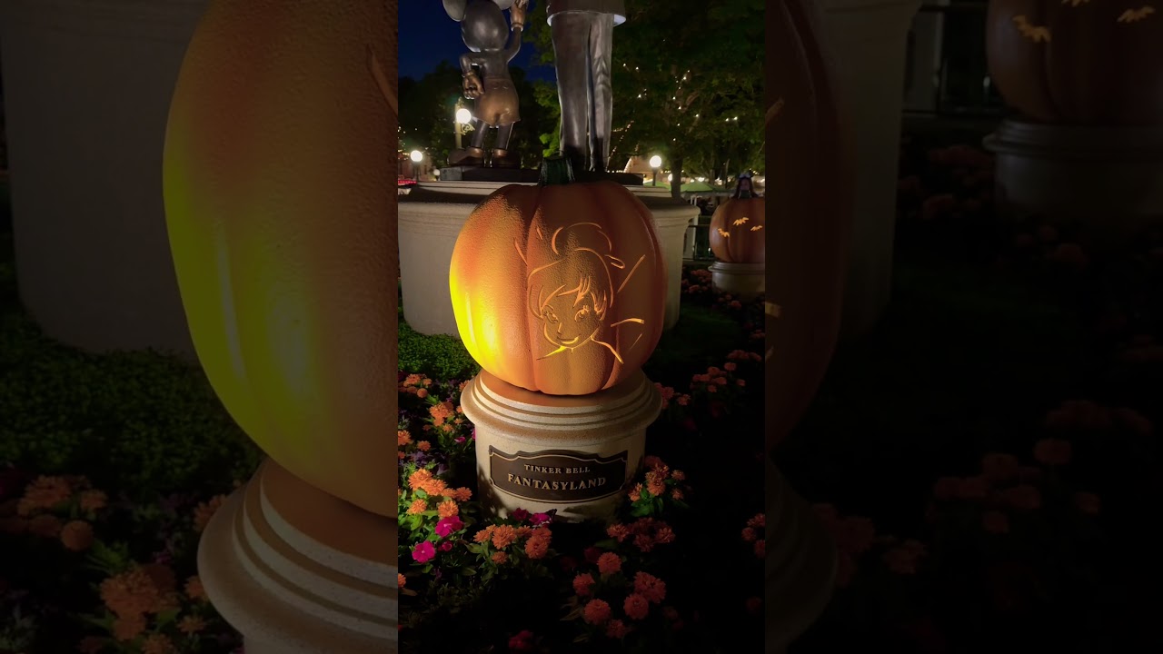 🧟‍♂️🎃🏰PUMPKINS are BAAAACKKK!!! 