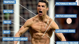 Cristiano Ronaldo Abbs Workout