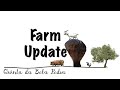 Bela Pedra, my Portuguese Farm: Part 19 (Farm Update)