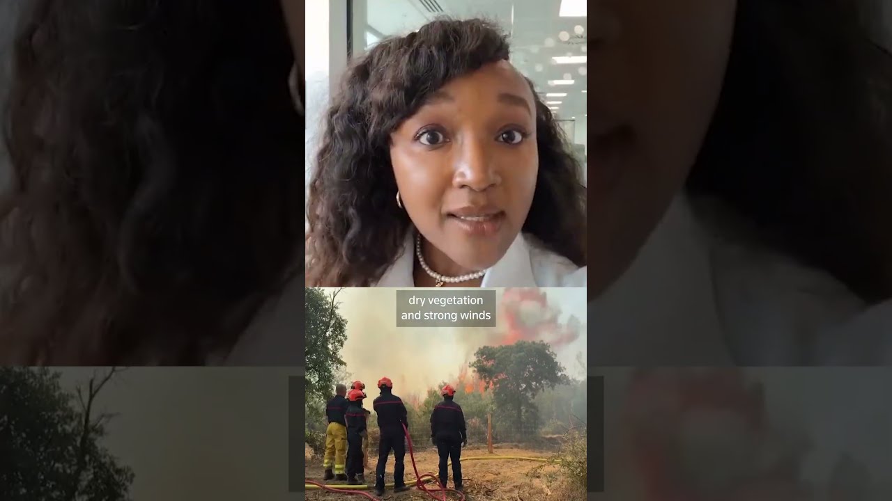Why Are There So Many Wildfires Right Now 